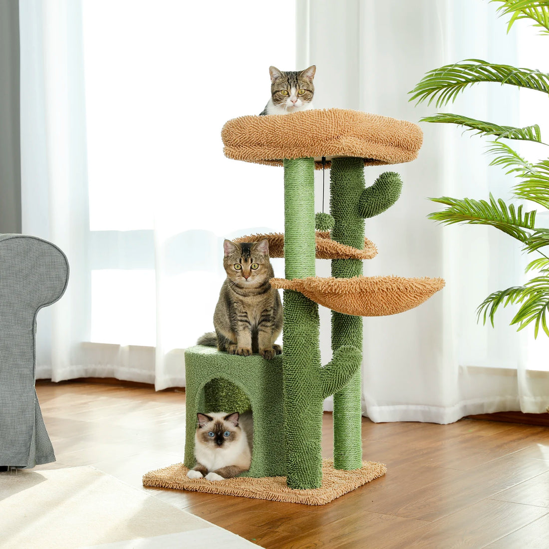Arbre à chat cactus avec niche cocon
