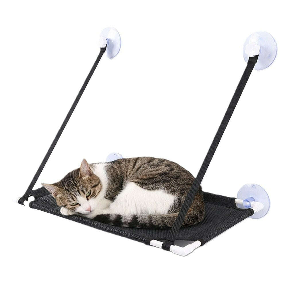 Hamac de fenêtre pour chat confortable — vue arrière