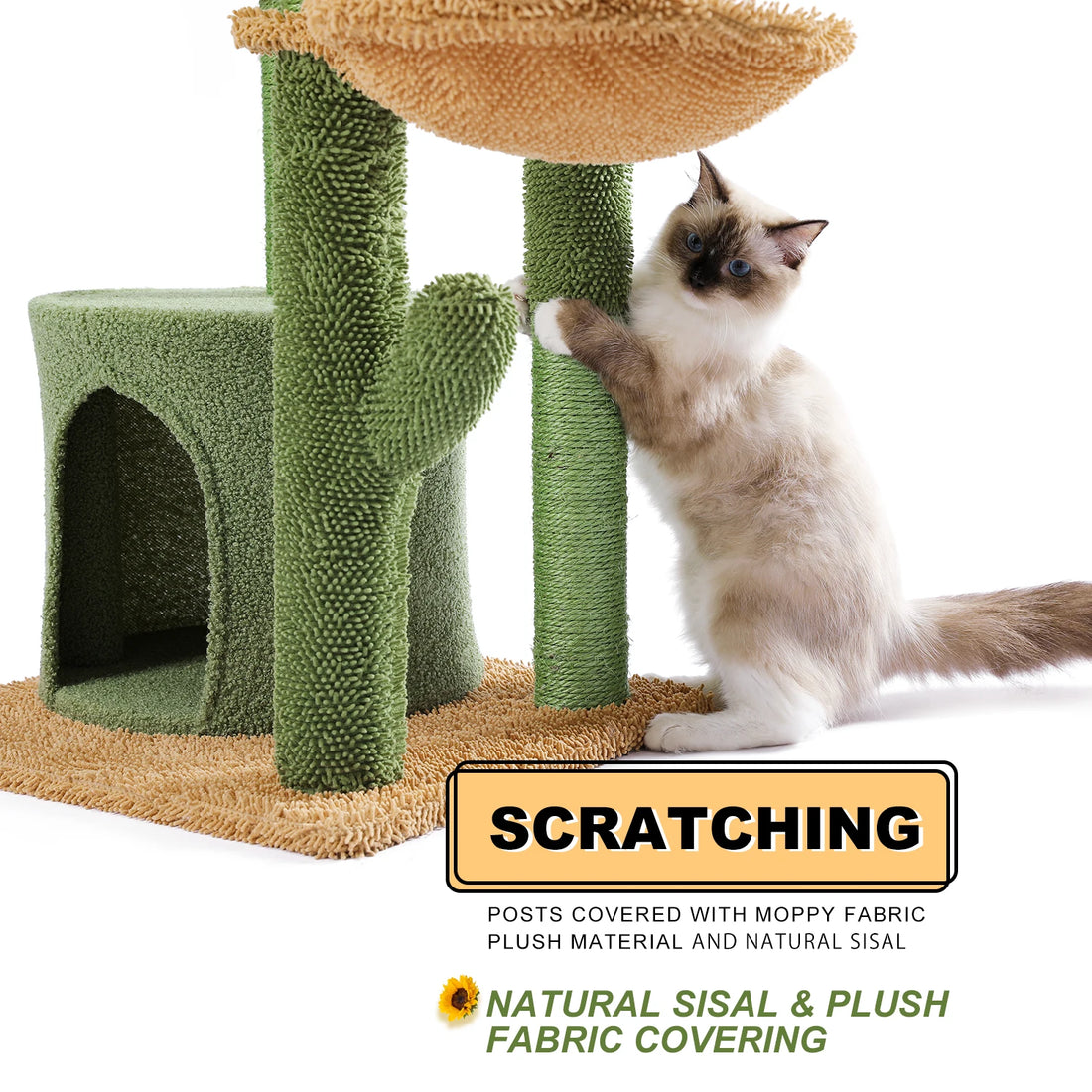 Arbre à chat cactus avec niche cocon