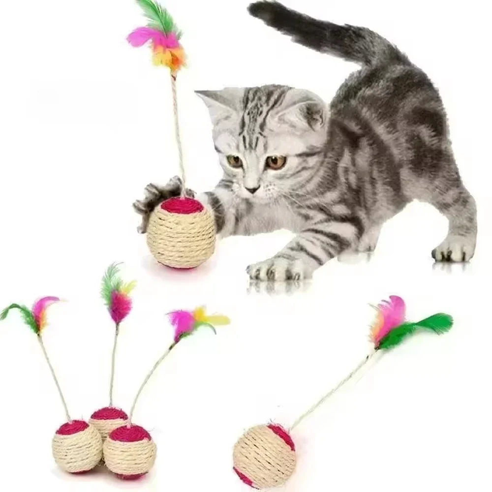 Cat Toys