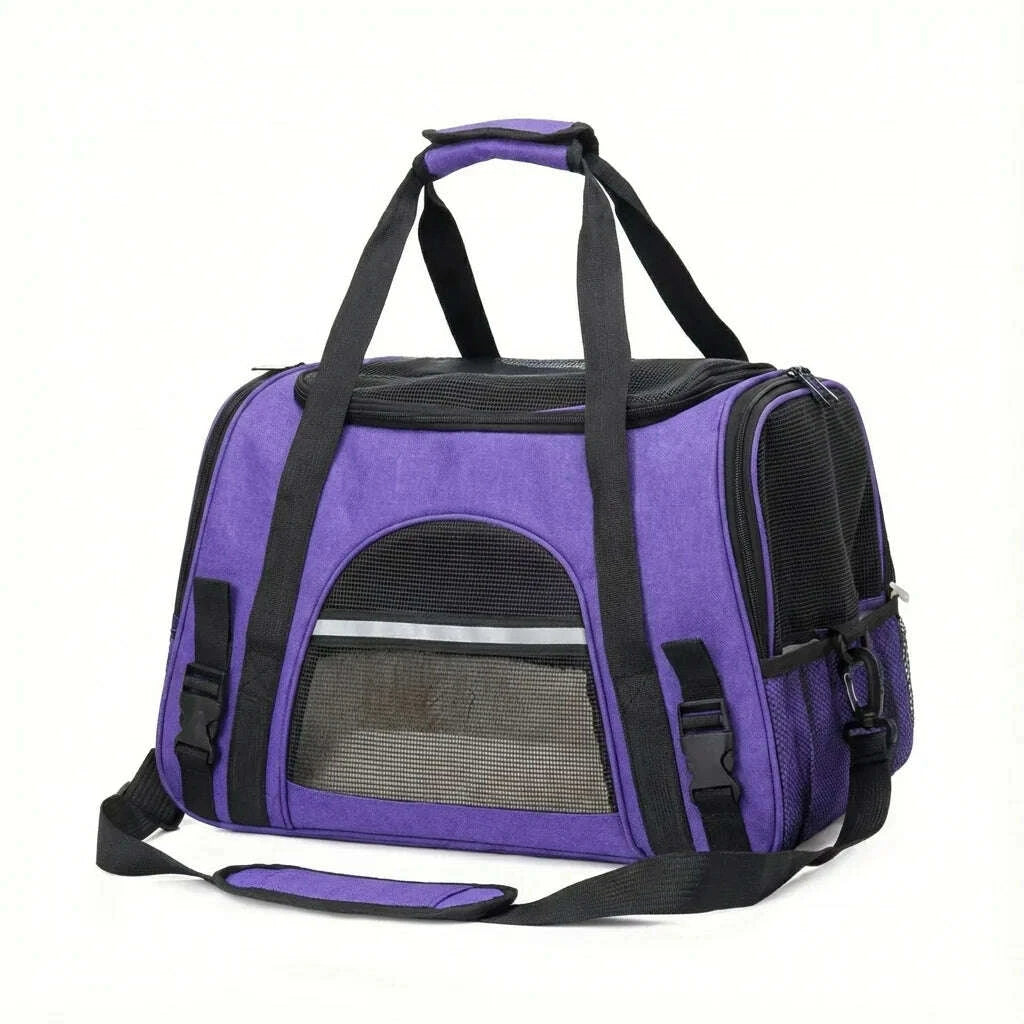 Panier léger pour transport de chat violet — vue arrière