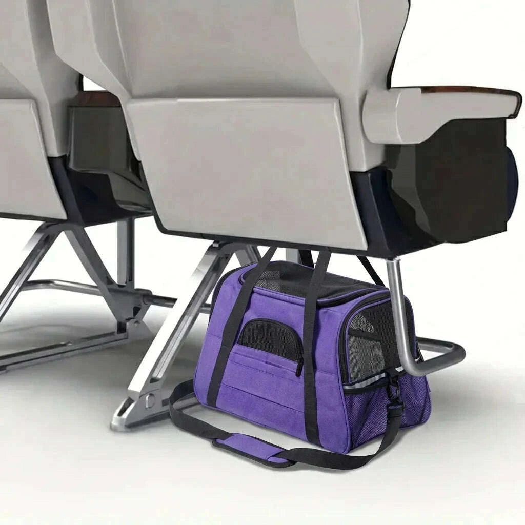 Panier léger pour transport de chat violet — en situation