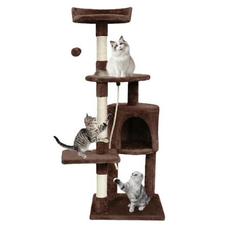 Petit arbre à chat compact et douillet
