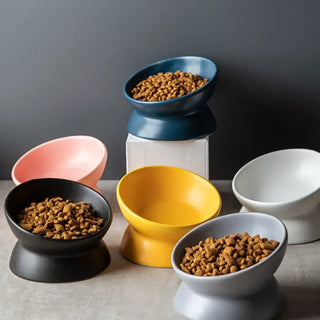 Cat Bowl: Tilted Ceramic, 15° Anti-Regurgitation Design