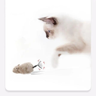 Wind-Up Plush Mouse Cat Toy