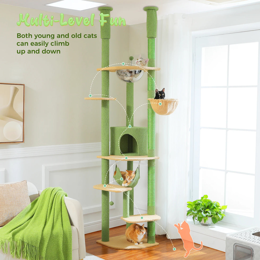 Arbre à chat télescopique multi-niveaux