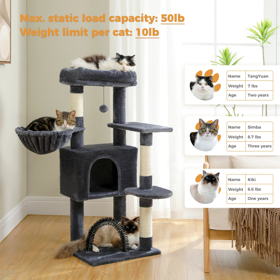 Arbre à chat niche arche avec hamac