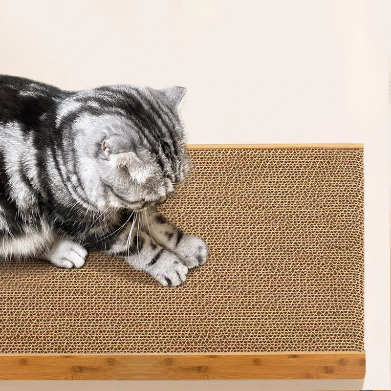 Close-up of a cat scratching the corrugated cardboard base