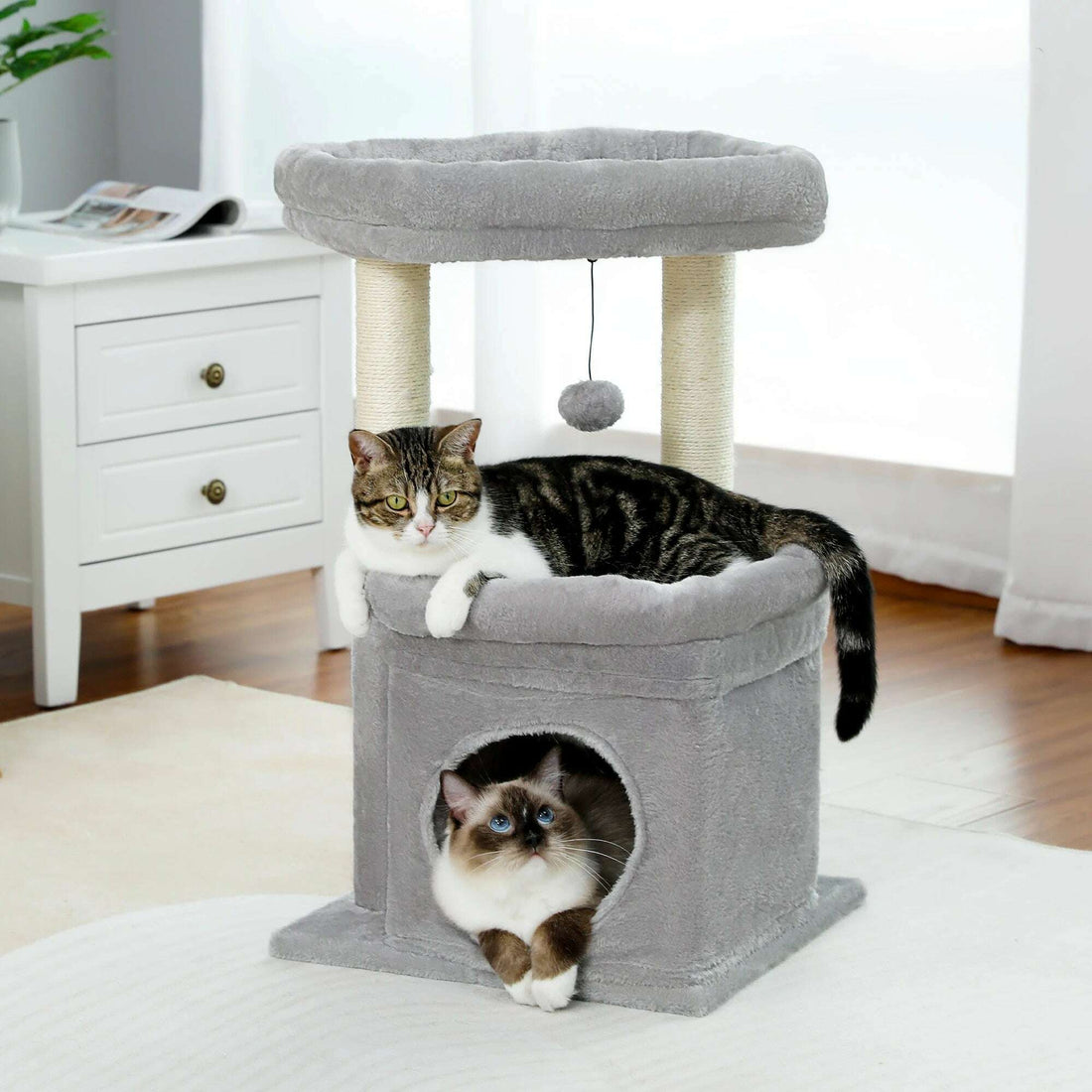 Arbre à chat élégant, niche et hamac