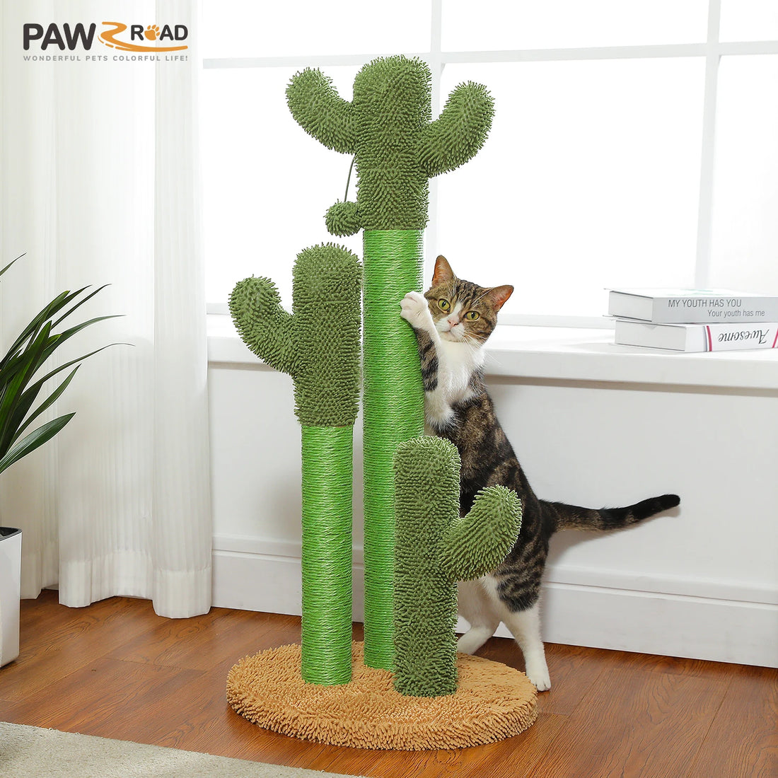 Griffoir cactus pour chat 3 poteaux sisal