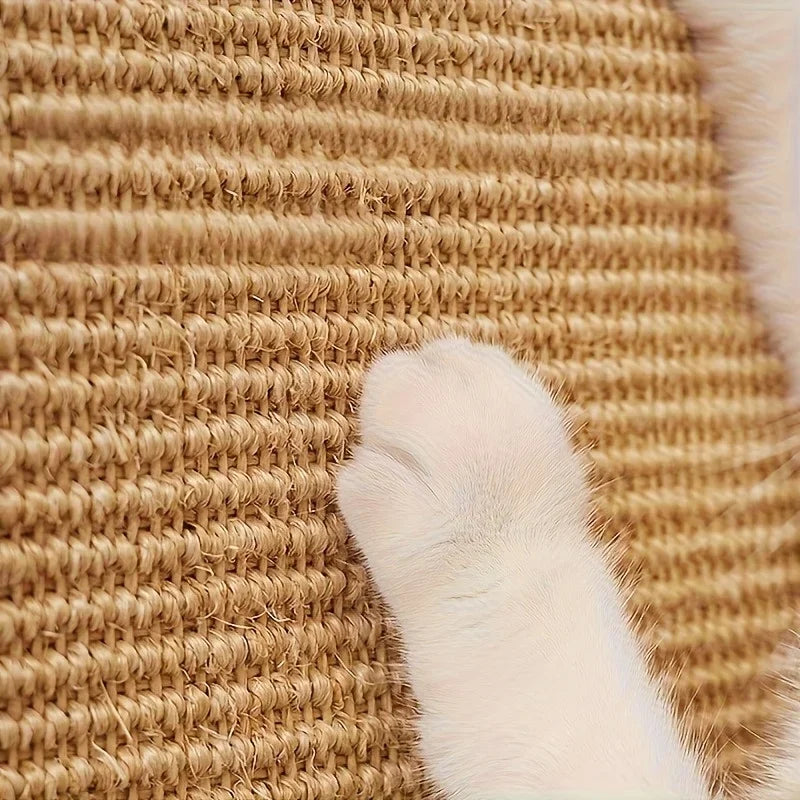Close-up of a cat's paw on the woven sisal texture