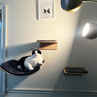 Wooden Cat Wall Steps, Modular Climbing Route