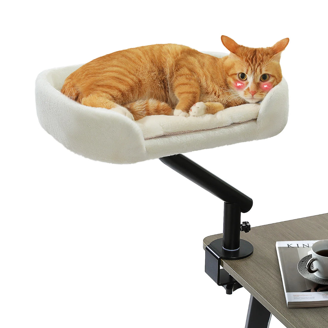 Panier de bureau pour chat en rotin