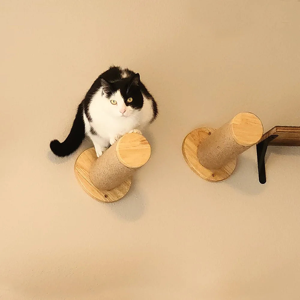 Chat noir et blanc près de deux plots muraux ronds en bois recouverts de sisal, fixés sur un mur beige