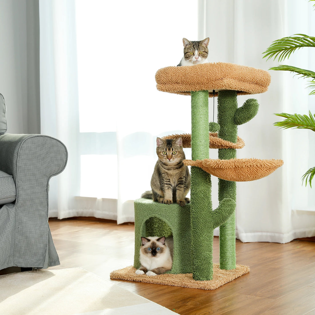 Arbre à chat cactus avec niche cocon
