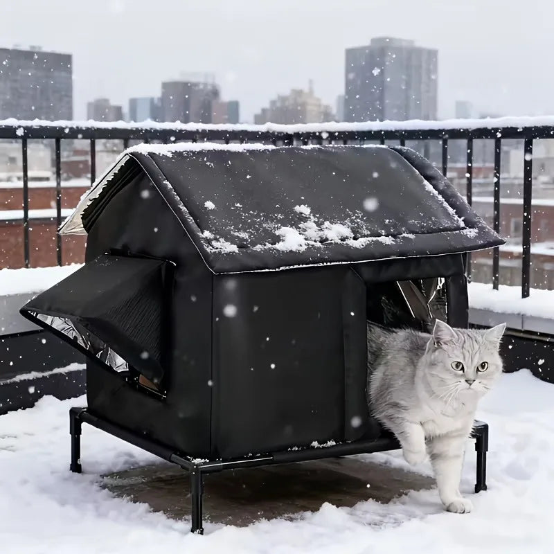 Chat gris clair sortant d'un abri noir enneigé posé sur une terrasse urbaine, ville en arrière-plan