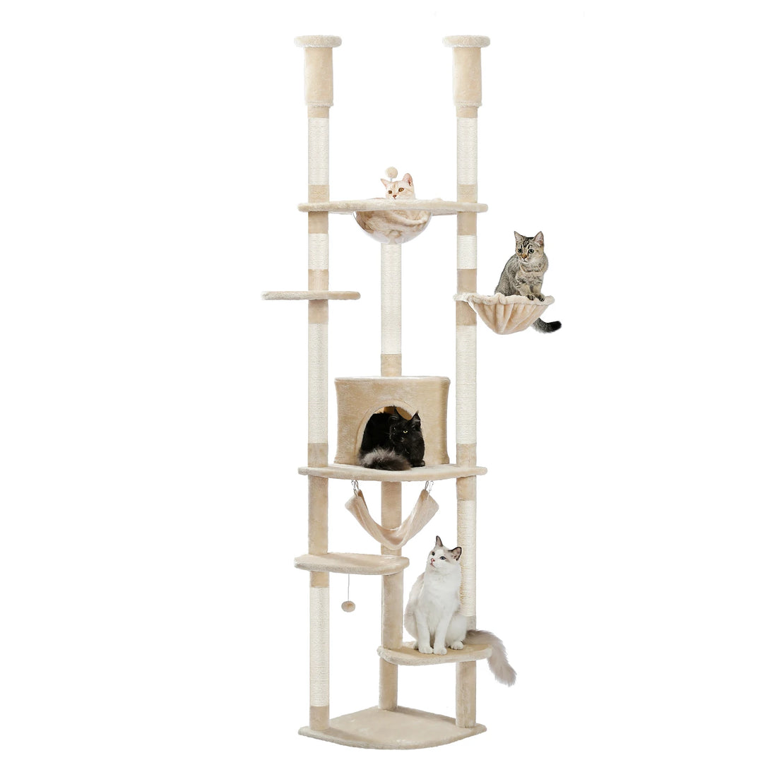 Arbre à chat à hauteur réglable pour grimper