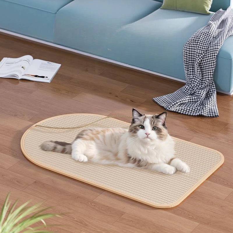 Cat lying on the floor sisal scratching mat