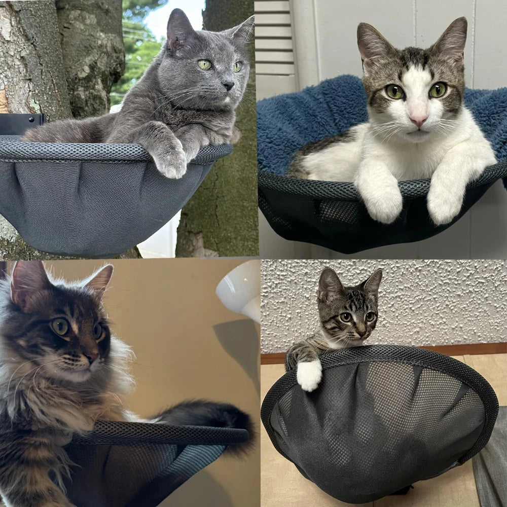 Quatre chats dans leur hamac mural en maille grise : chat gris, bicolore, poil long et chaton tigré
