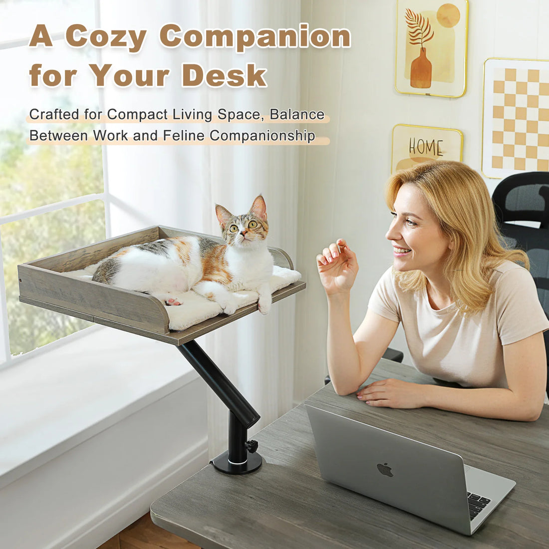 Plateau de bureau pour chat rotatif 360°