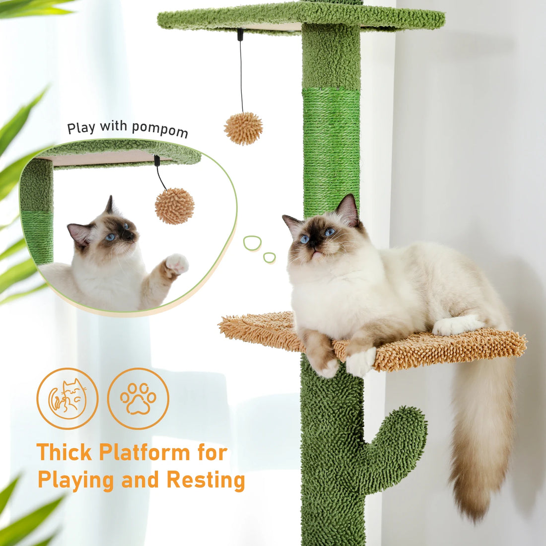 Arbre à chat cactus 5 niveaux réglable