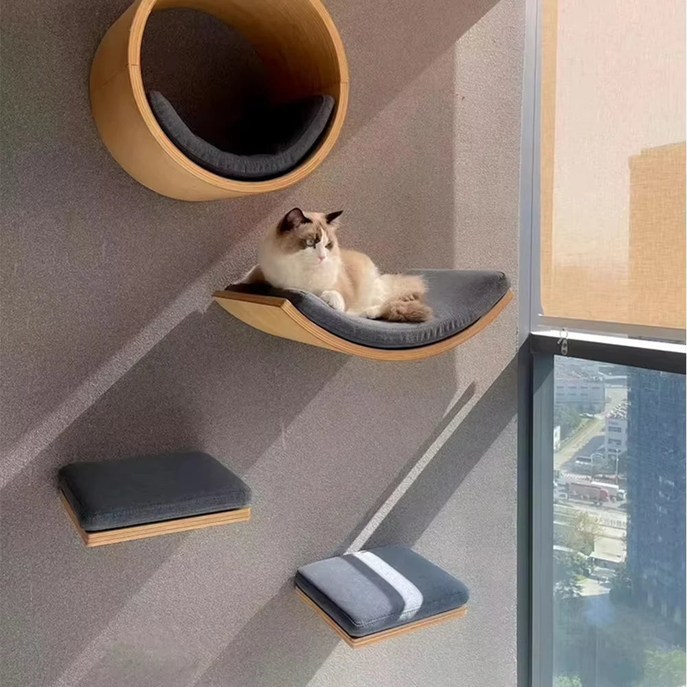 Chat beige et blanc couché sur une étagère murale courbe, au-dessus de deux marches et sous une niche ronde en bois