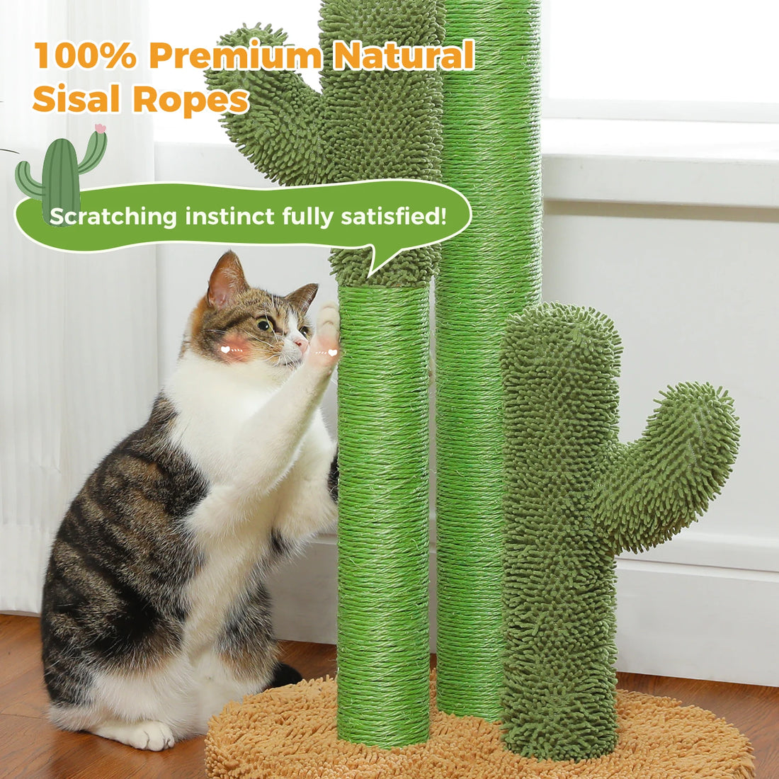 Griffoir cactus pour chat 3 poteaux sisal