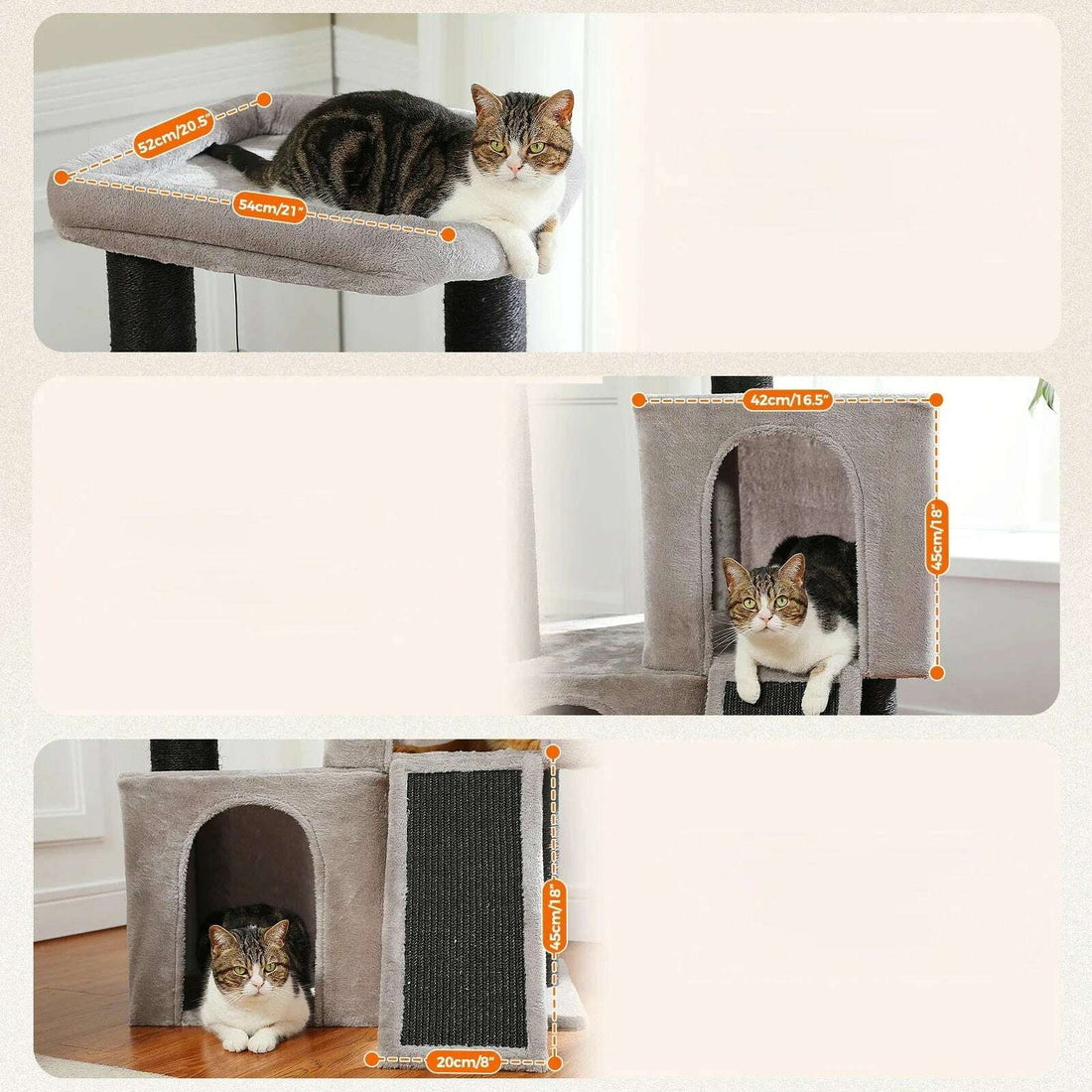Petit arbre à chat robuste et compact — vue arrière