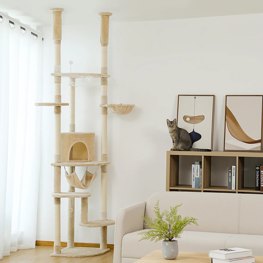 Arbre à chat à hauteur réglable pour grimper