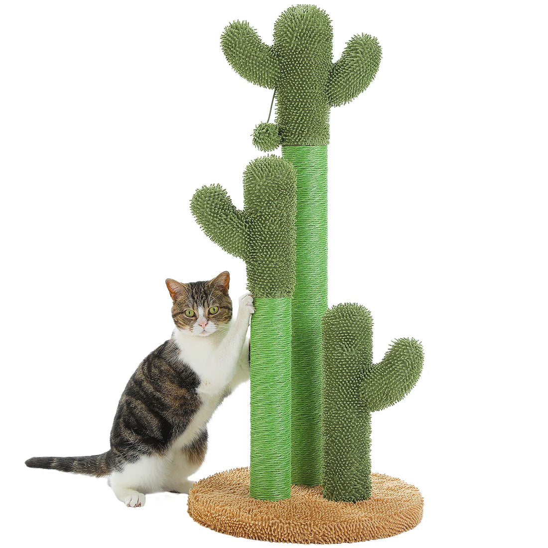 Griffoir cactus pour chat 3 poteaux sisal