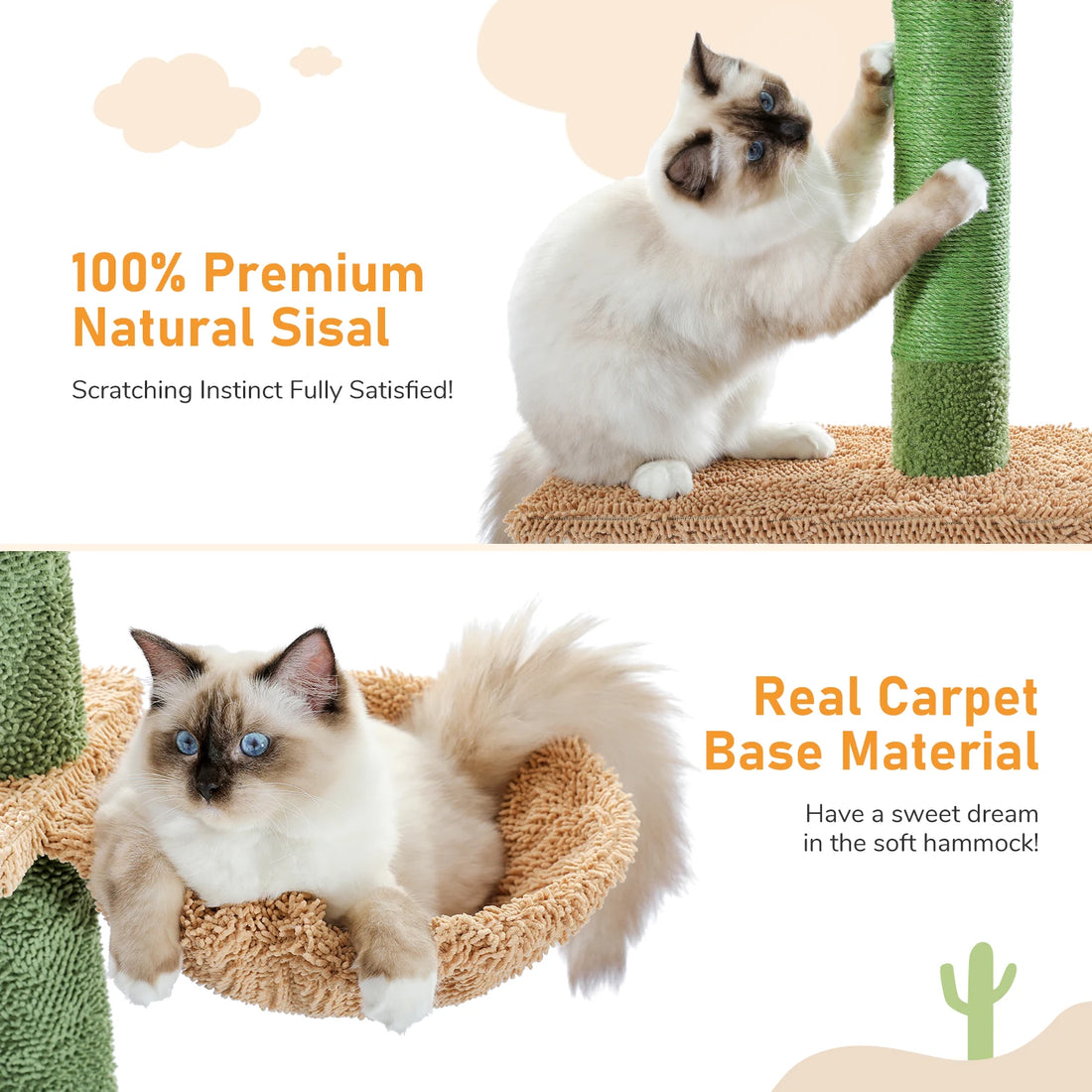 Arbre à chat cactus 5 niveaux réglable