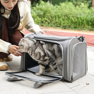 Breathable Cat Carrier Bag with Mat and Shoulder Strap