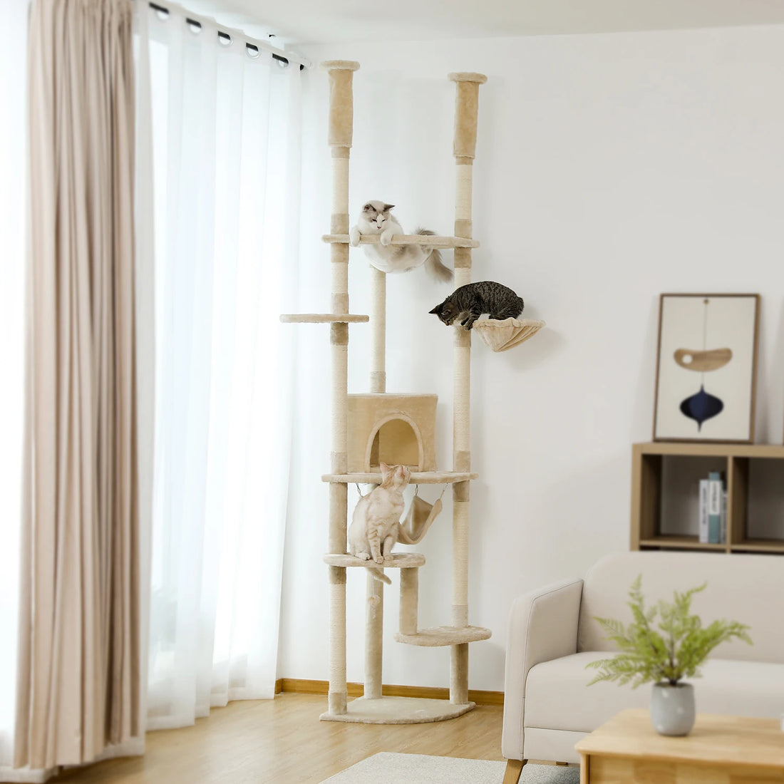Arbre à chat à hauteur réglable pour grimper