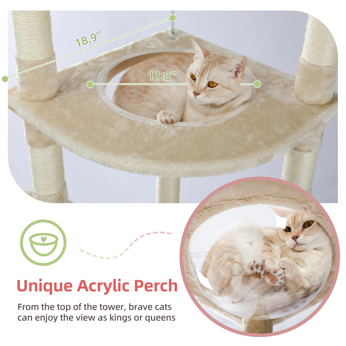 Arbre à chat à hauteur réglable pour grimper