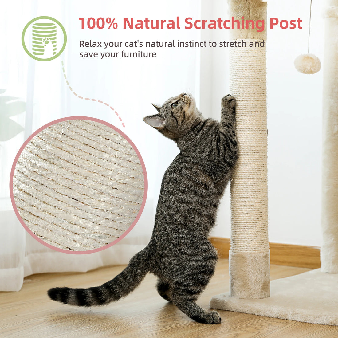 Arbre à chat à hauteur réglable pour grimper