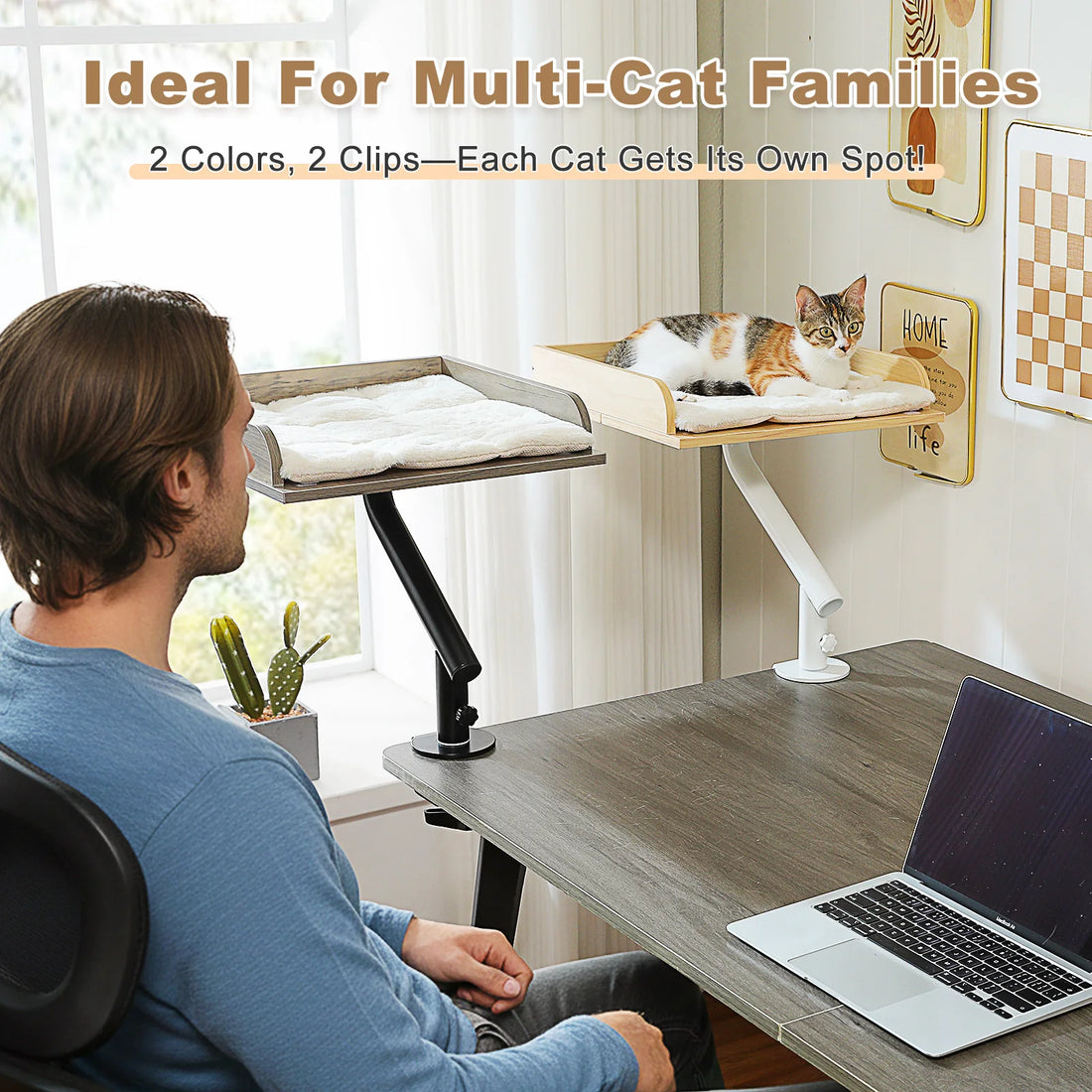 Plateau de bureau pour chat rotatif 360°