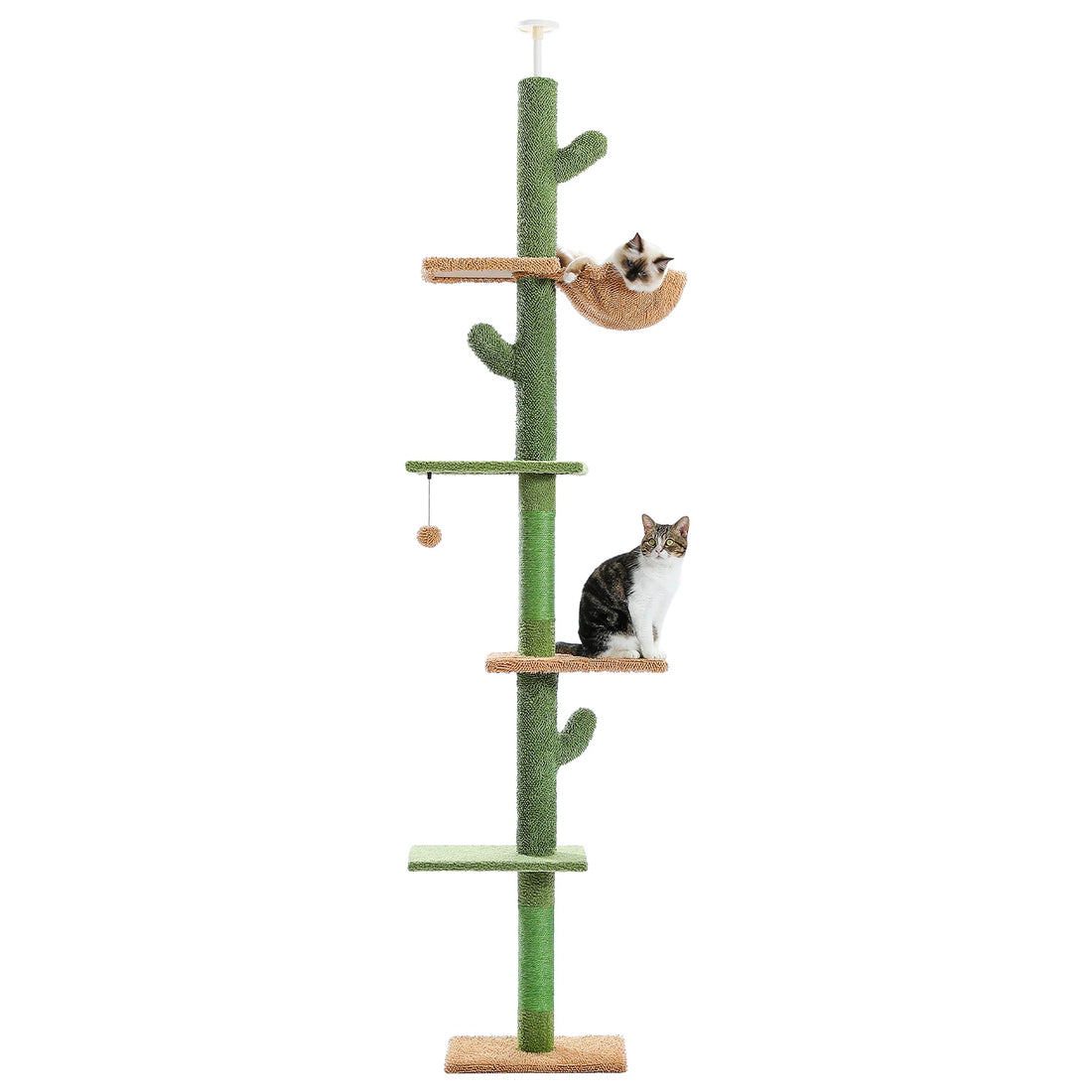 Arbre à chat cactus 5 niveaux réglable
