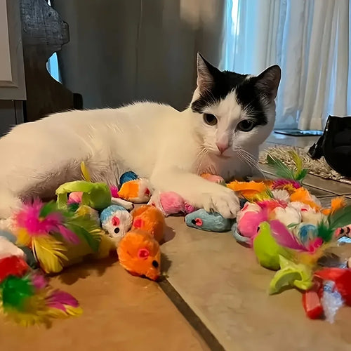 Chat blanc et noir allongé parmi des souris en peluche et jouets à plumes colorés posés sur un carrelage