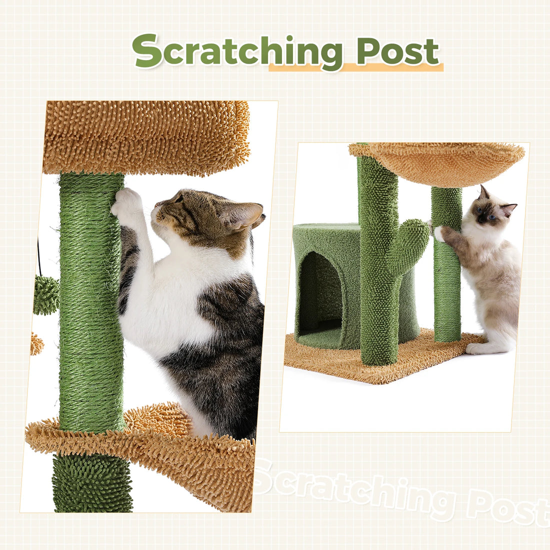 Arbre à chat cactus avec niche cocon