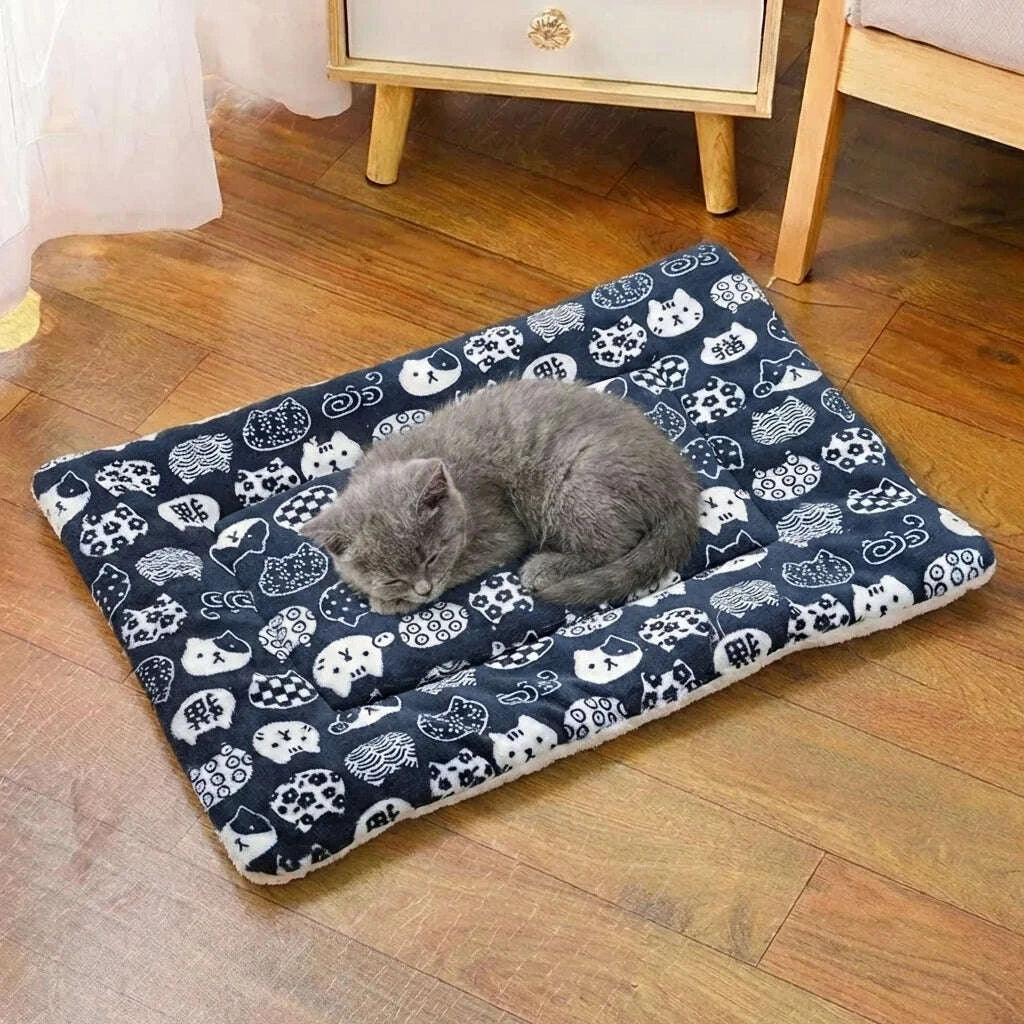 Tapis design pour chat intérieur — vue d'ensemble
