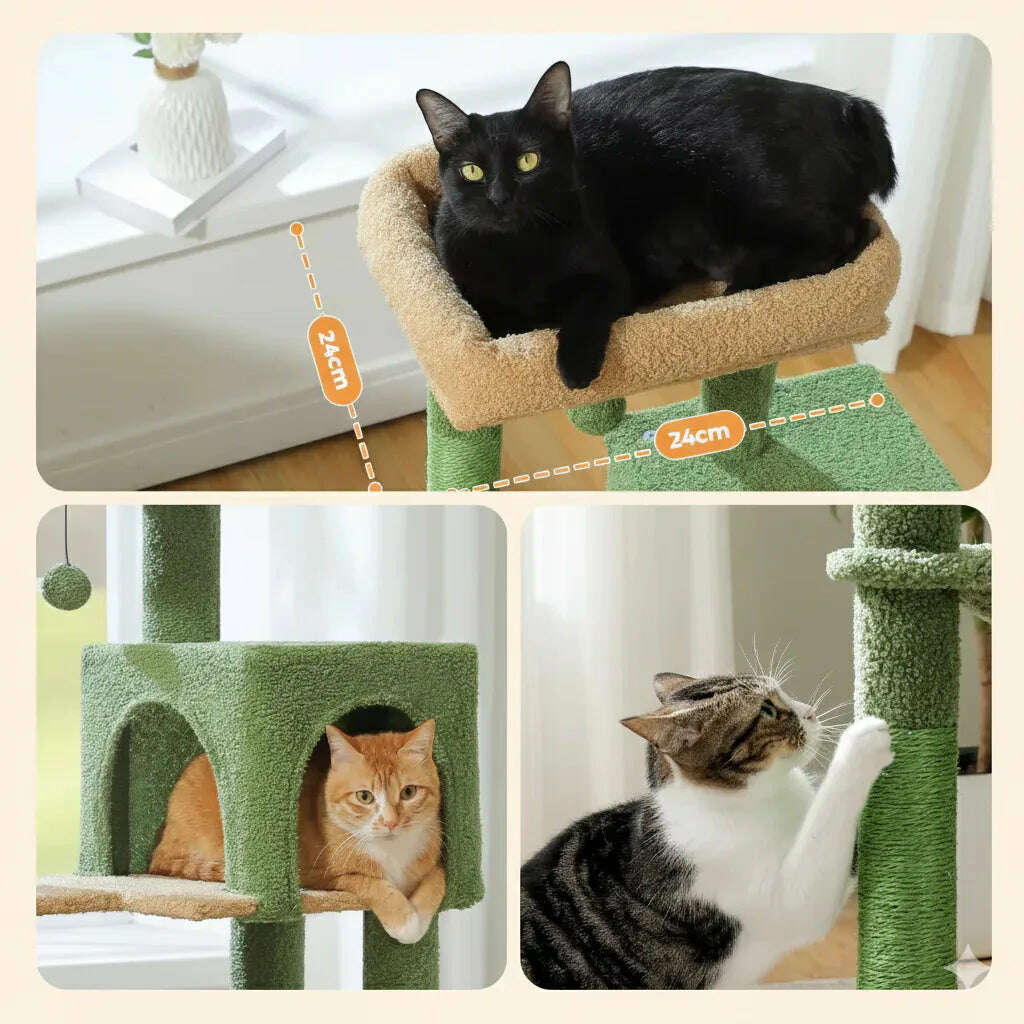 Arbre à chat cactus au design naturel — vue de côté