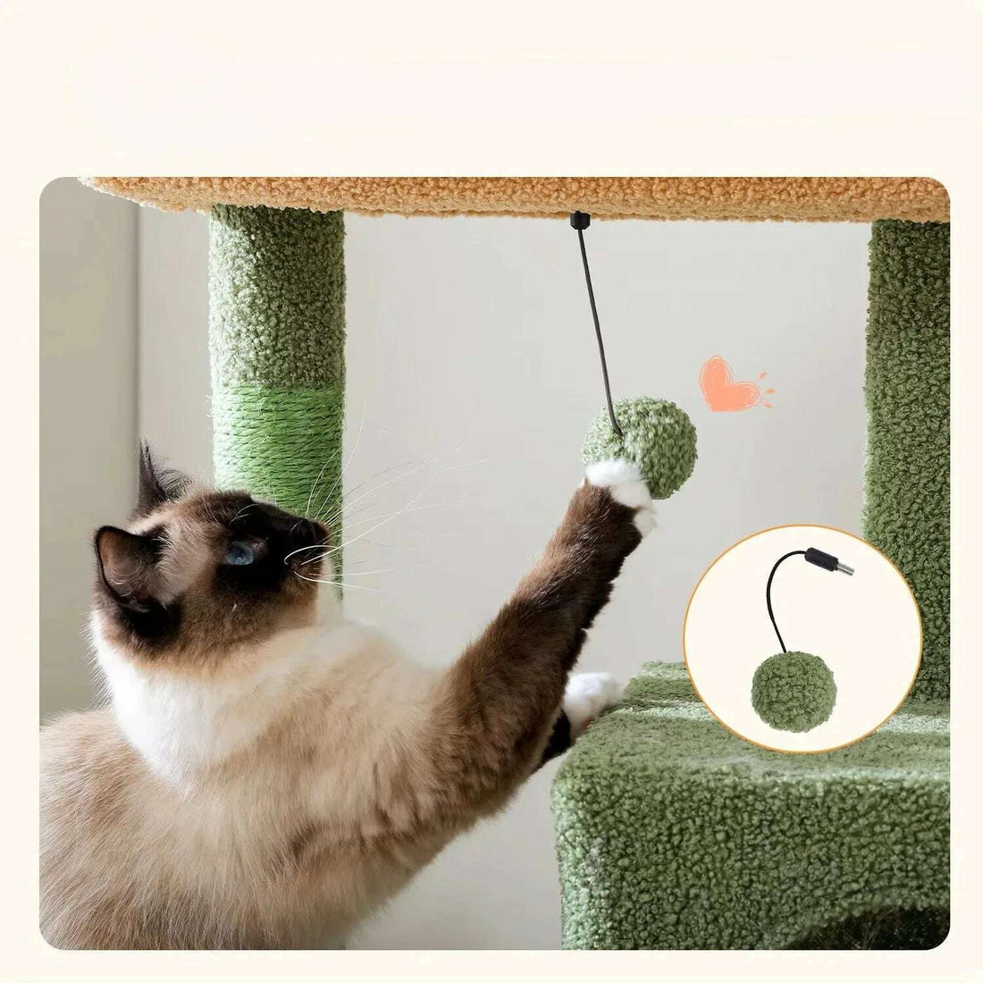 Arbre à chat cactus au design naturel — vue arrière