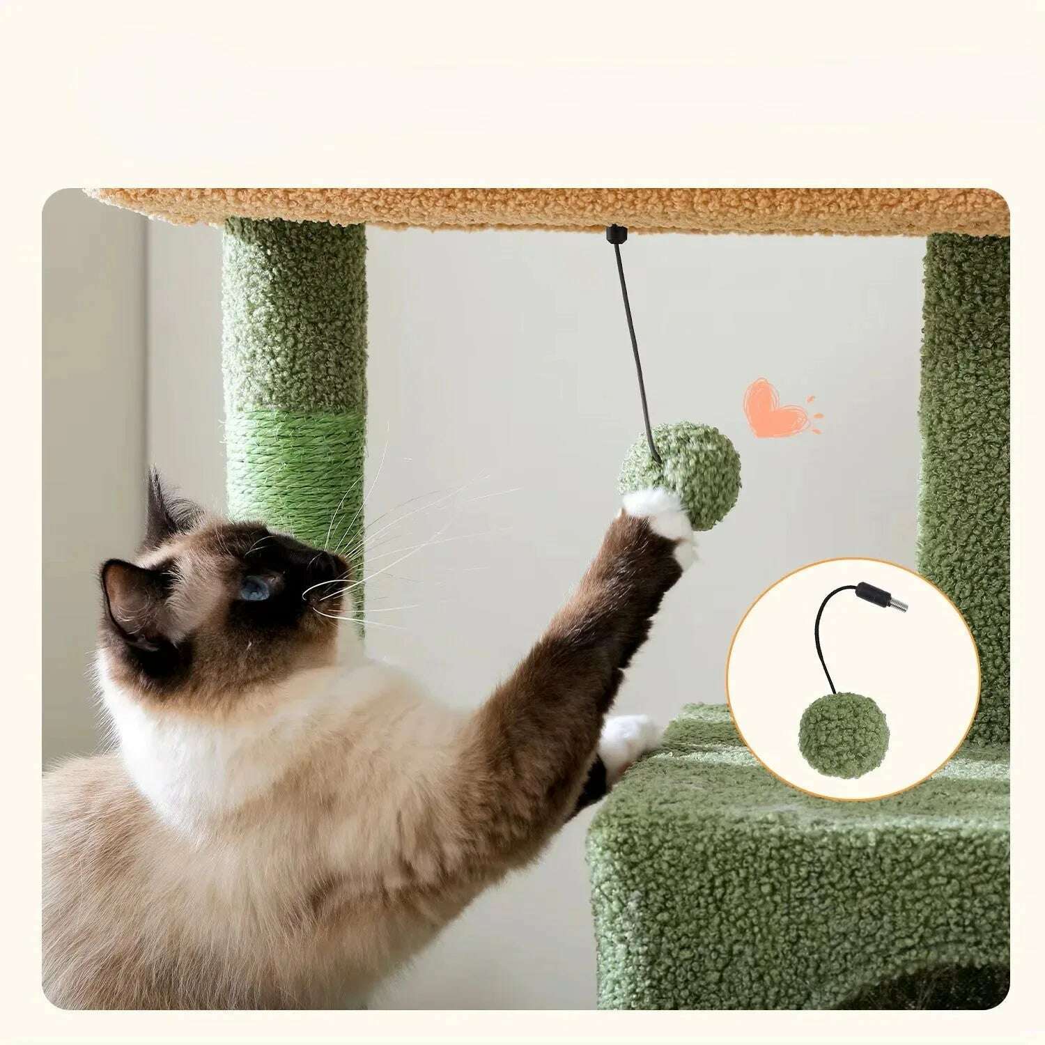 Arbre à chat cactus au design naturel — vue arrière