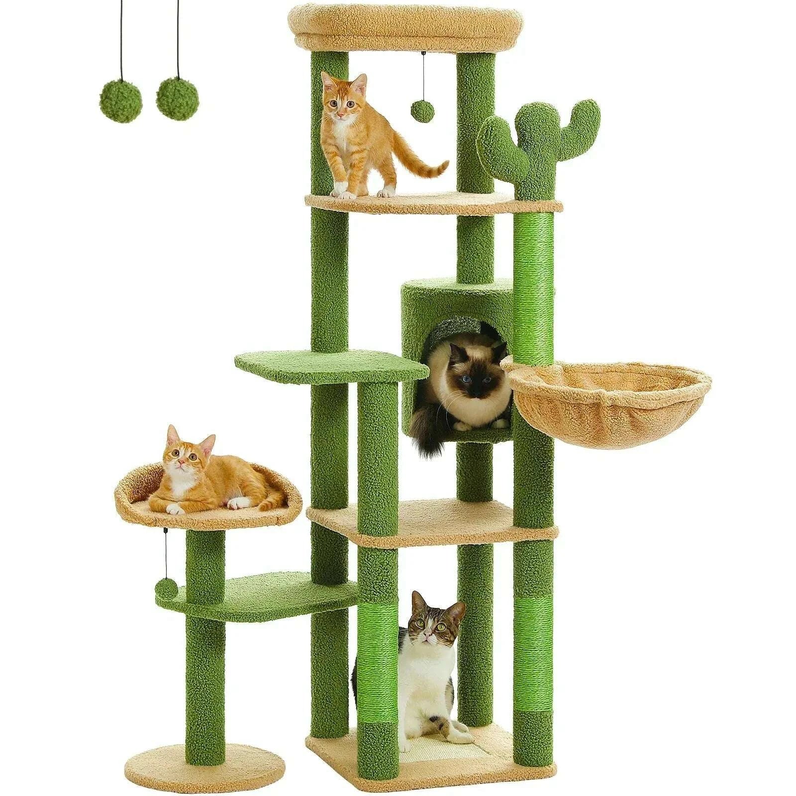 Arbre à chat cactus grand format