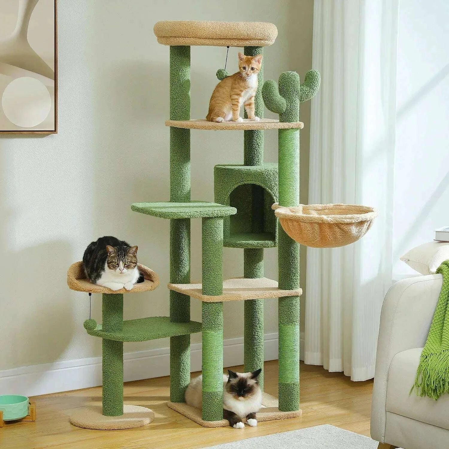 Arbre à chat cactus grand format — vue de côté