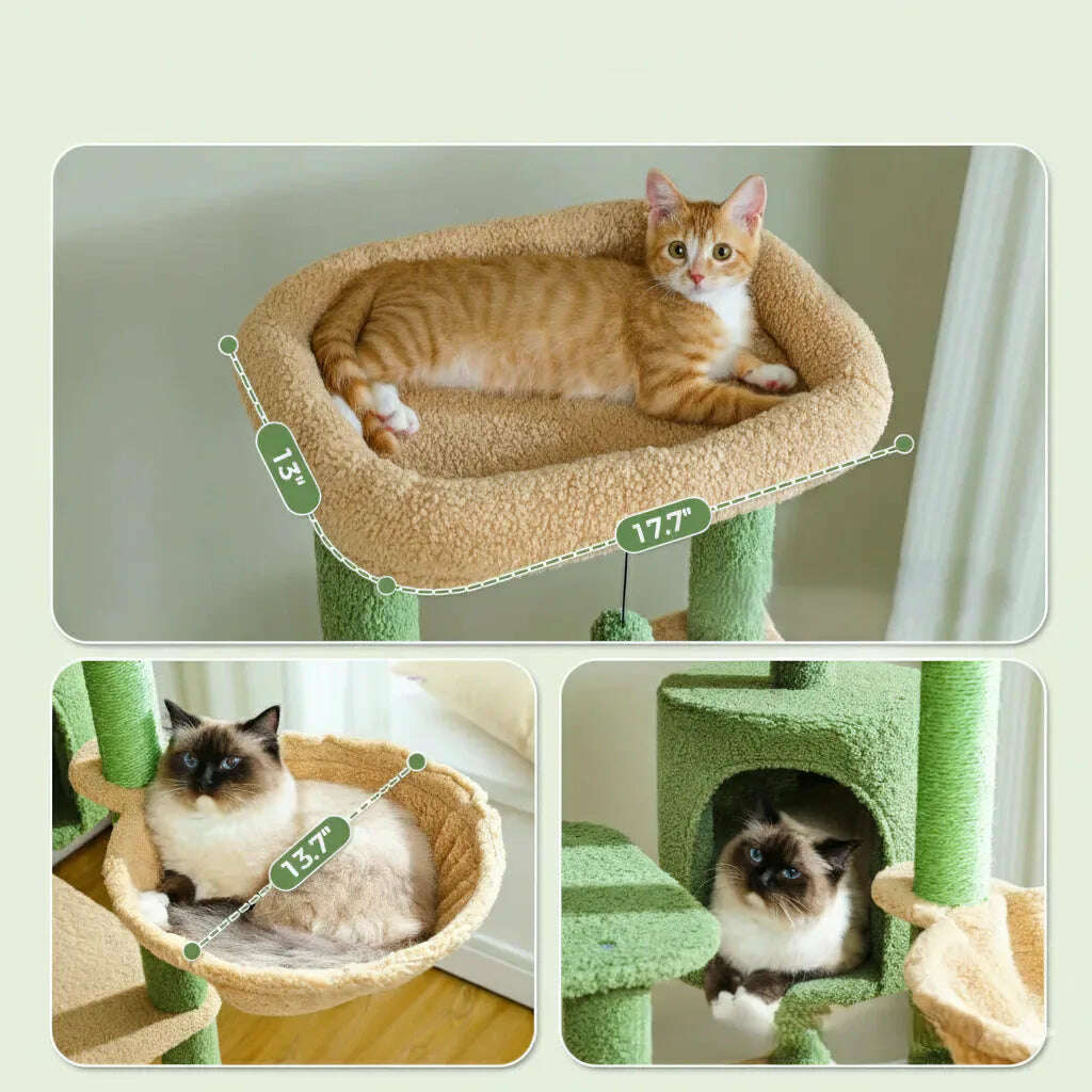 Arbre à chat cactus grand format — vue arrière