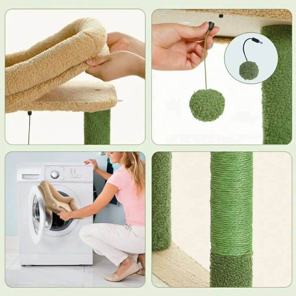 Arbre à chat cactus grand format — détail