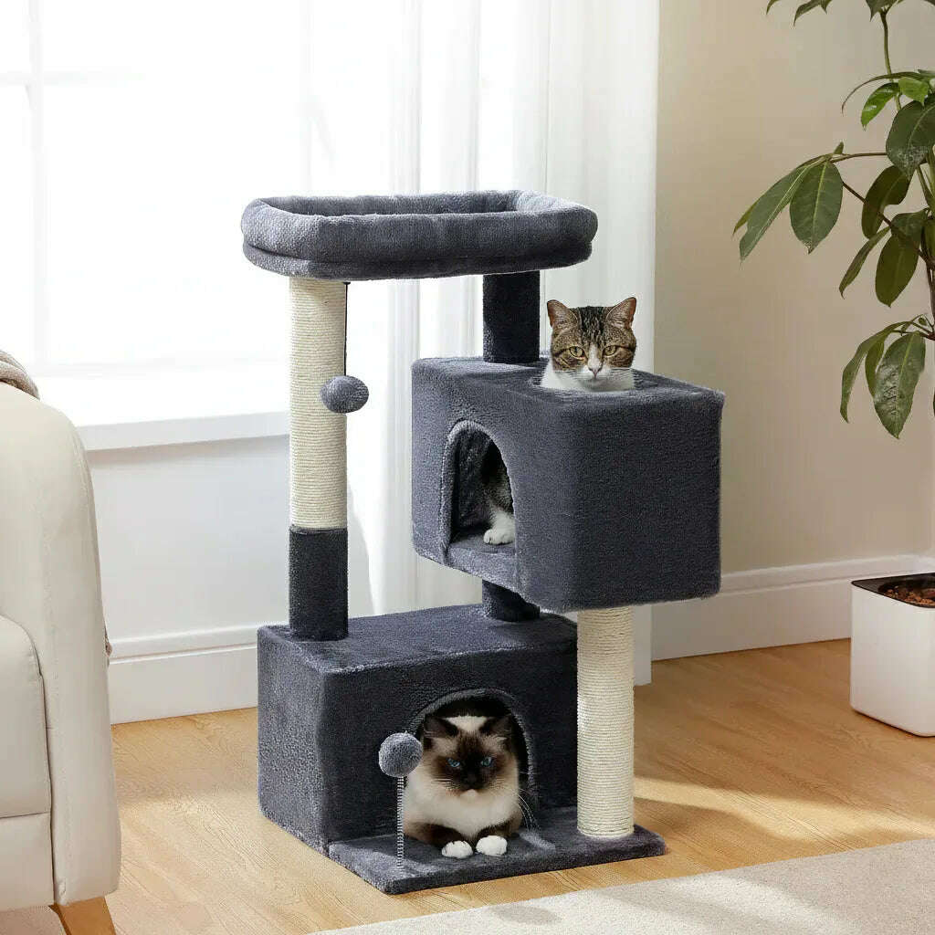 Arbre à chat design pour espaces restreints — en situation