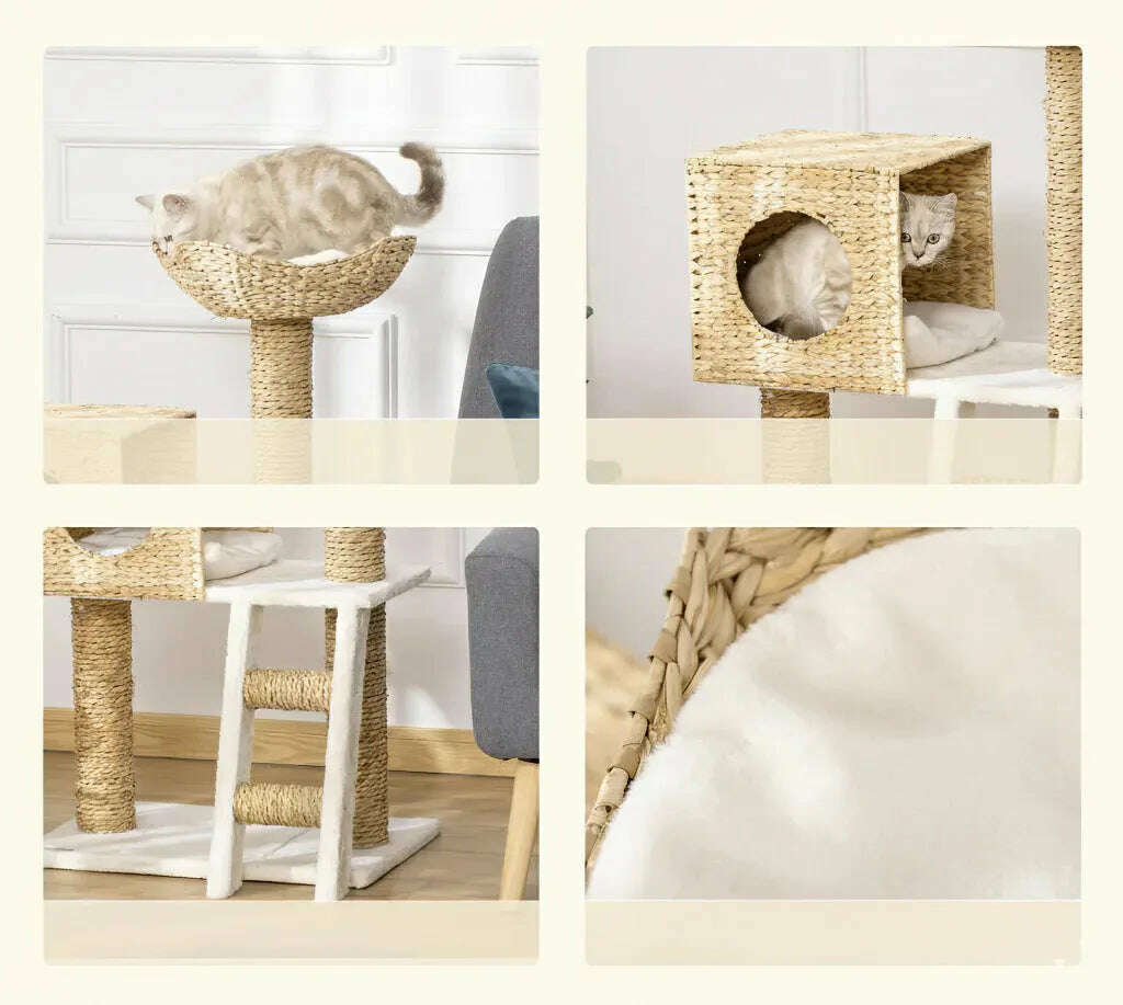 Arbre à chat en osier tressé design — vue arrière