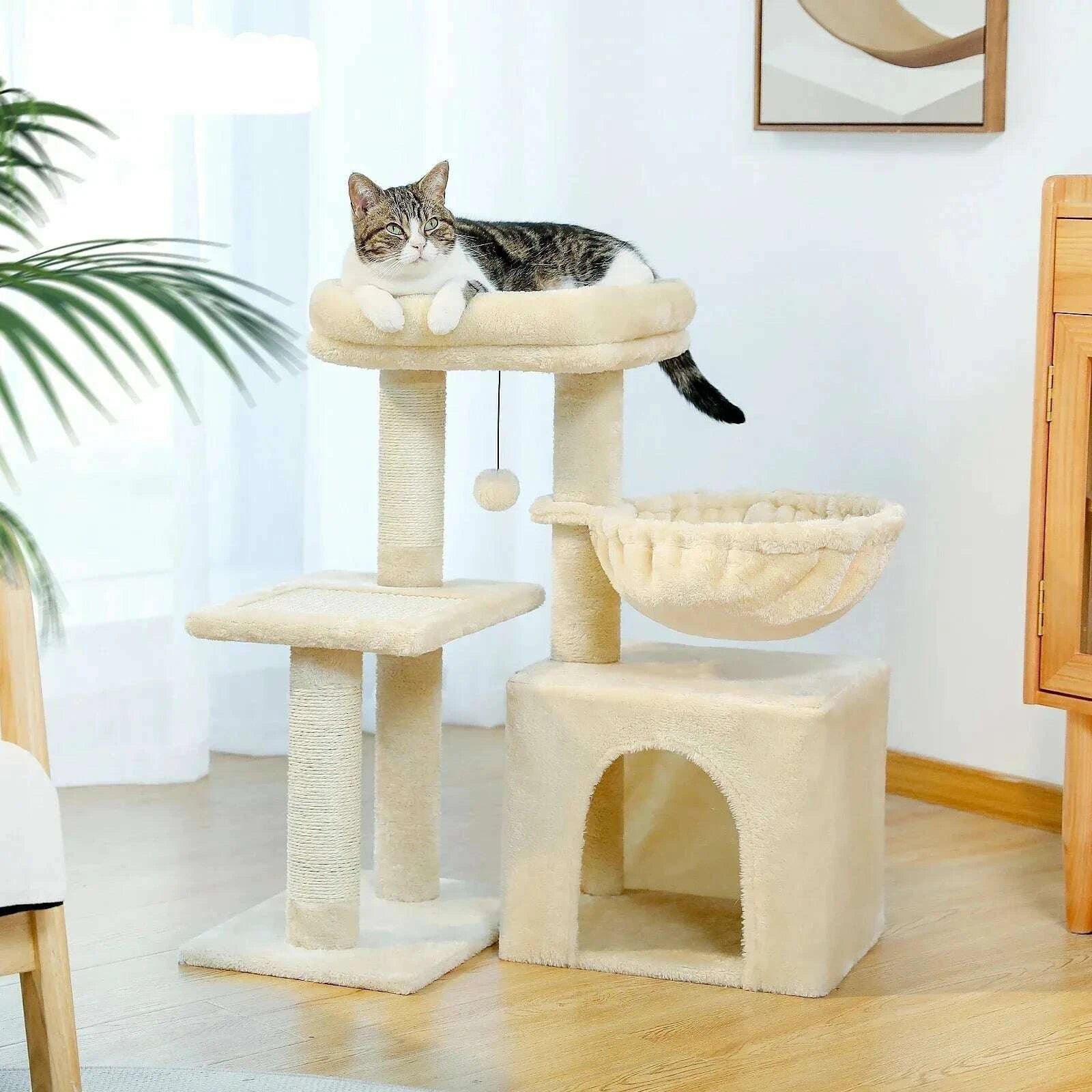 Arbre à chat compact et design — vue zoom